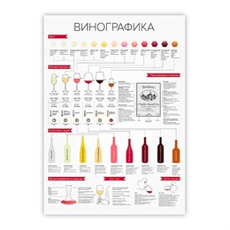 Плакат 'Винографика' 11958